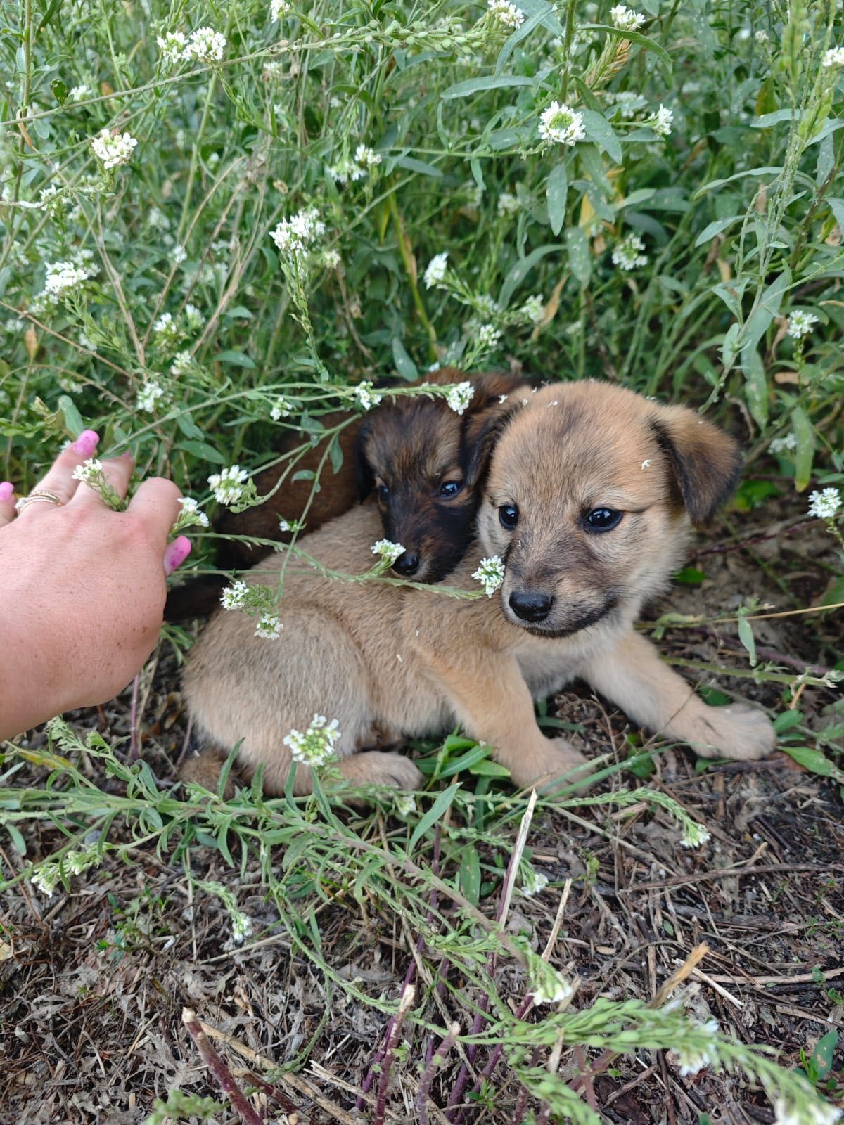 Милоты Вам в дом:-)
