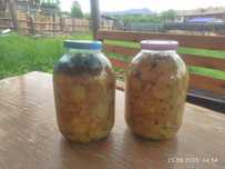 Грибы маринованные