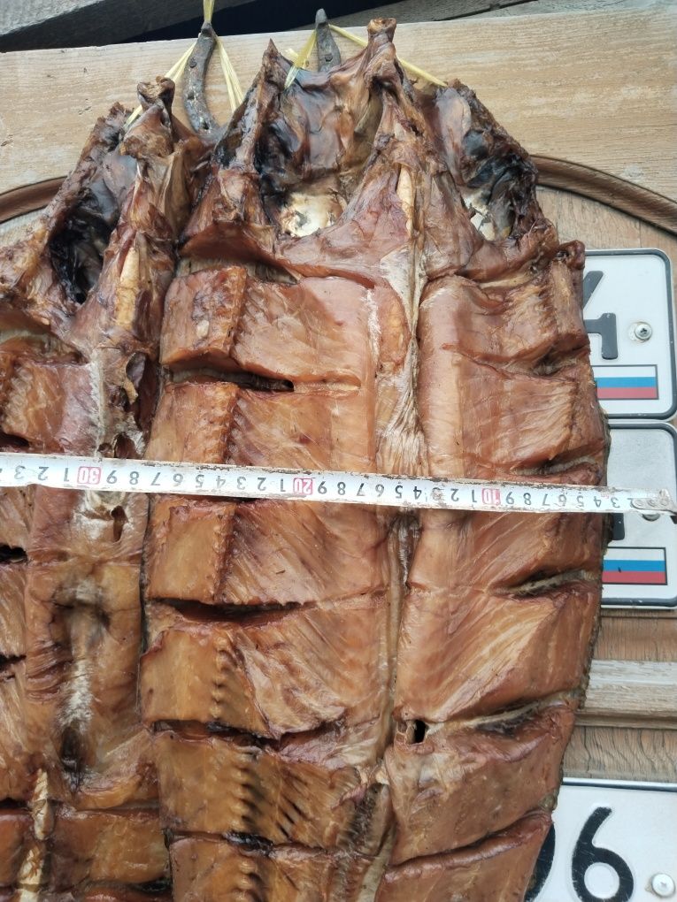 Продам капченую рыбу с Балхаша свежий завоз жерих цена за штуку