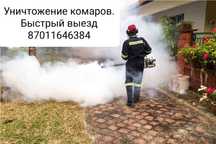 Дезинфекция от комаров,мухи,пчёл, ось, мошки.