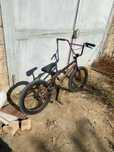 BMX Градиентовый