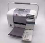 Epson picture mate 100