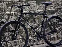 Фикс Horse fixed gear
