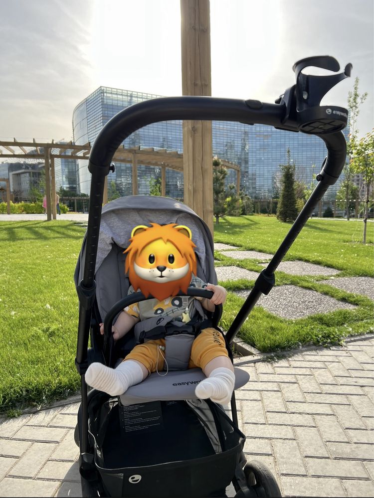 Брендовая коляска, лучшая Easywalker Charley 2 в 1