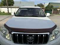 Мухобойка prado 150