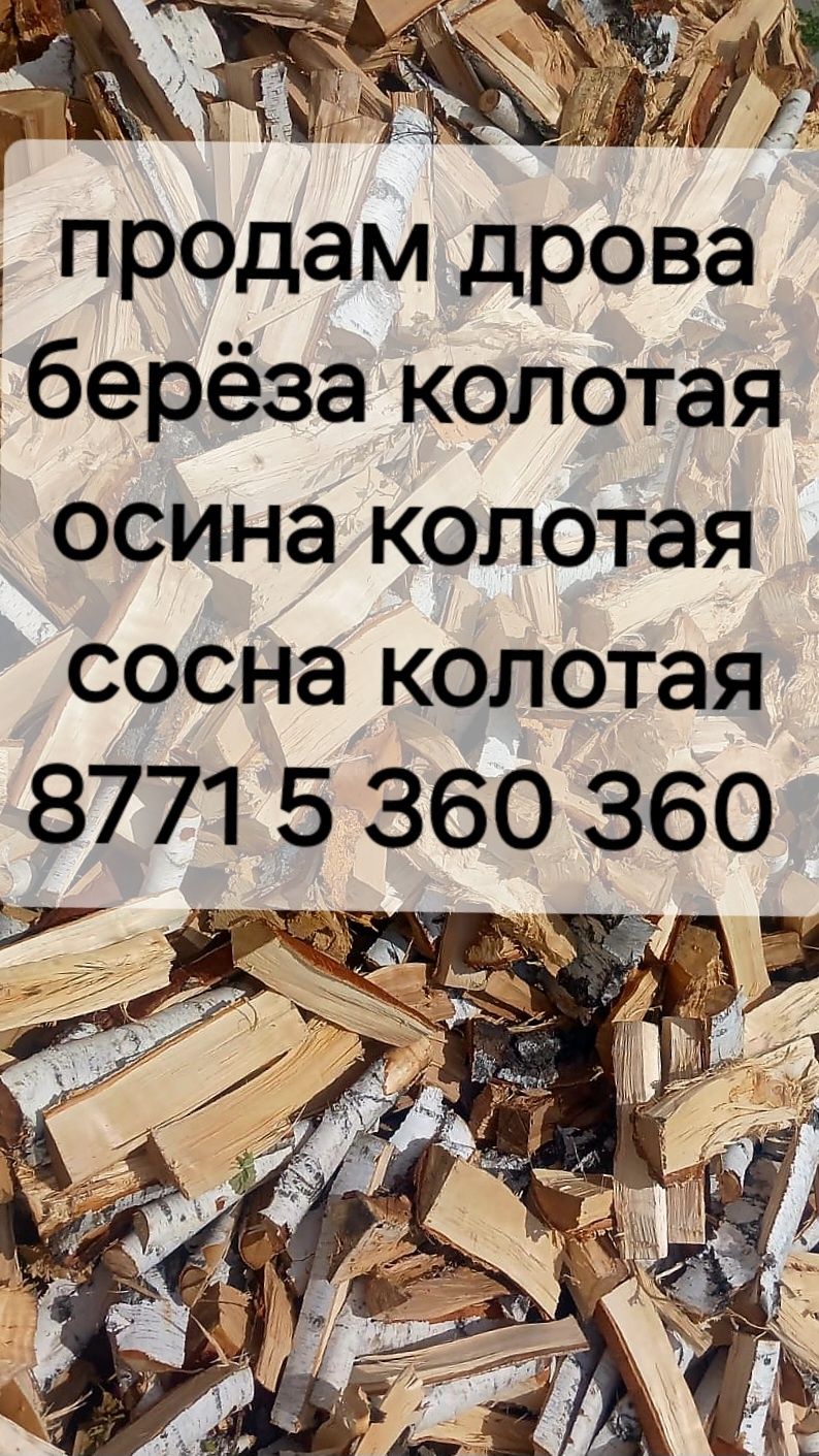 Продам дрова берёза , осина , сосна!