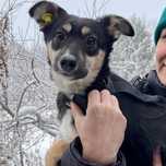Возьми меня к себе