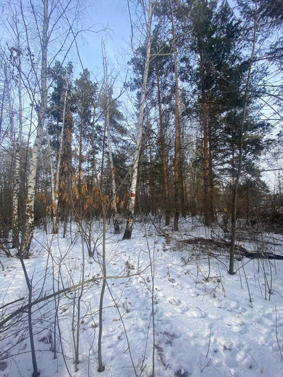 У реки Чаган Земельный участок  Самал