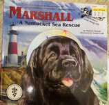 Книга Marshall на английском