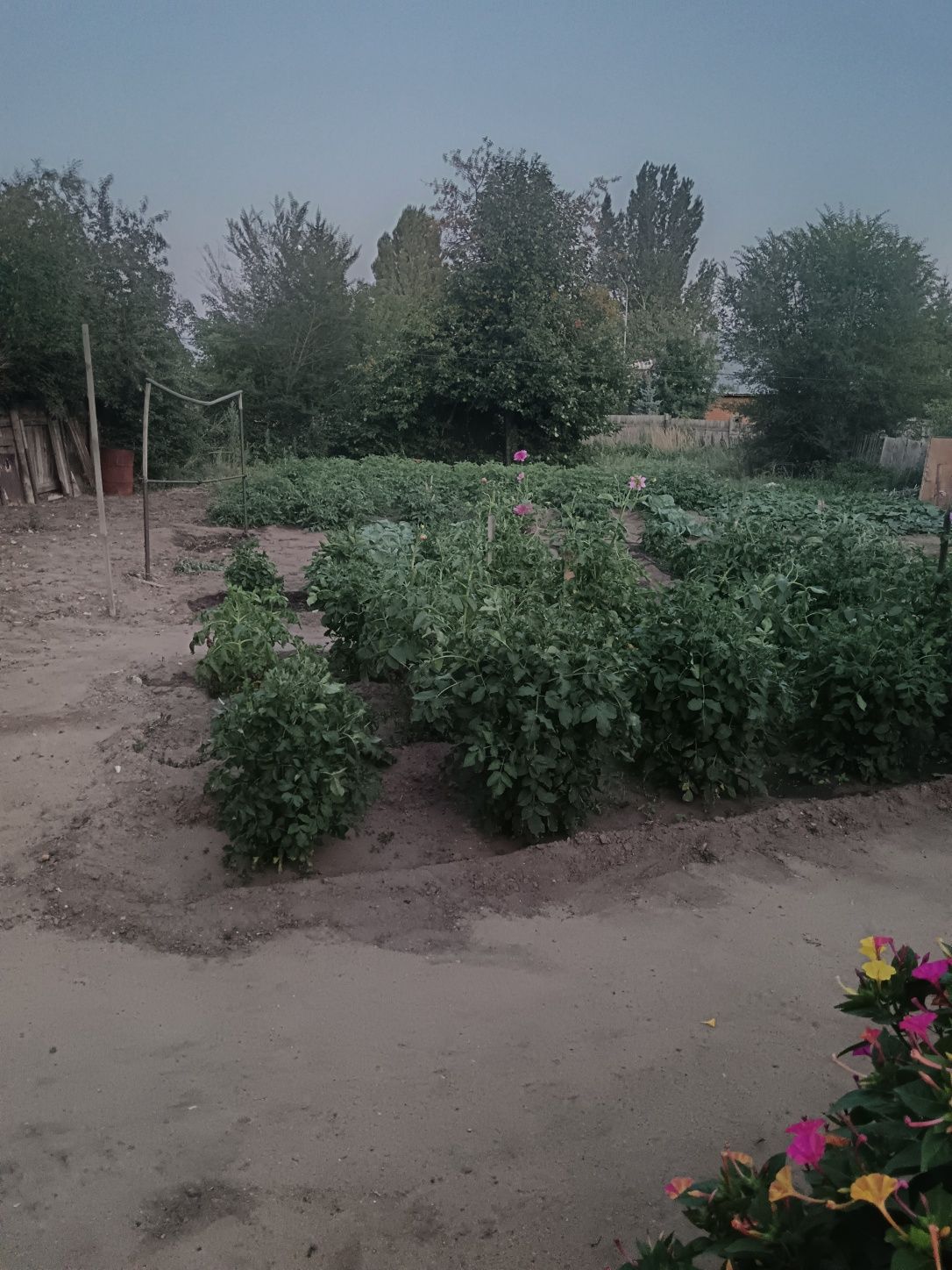 Продам участок 12 соток с домом