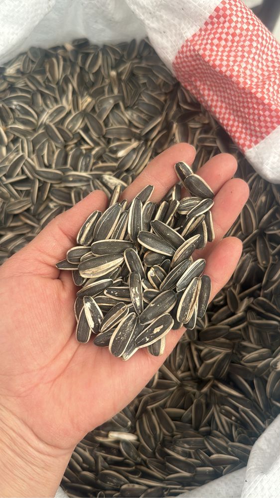 Семечки крупные