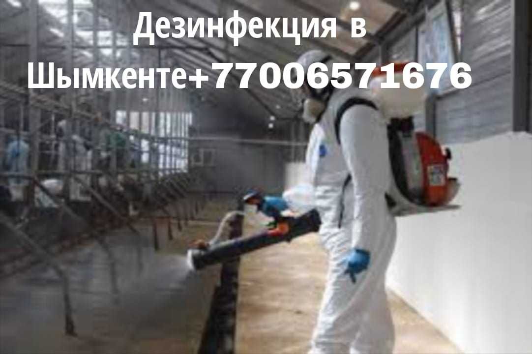 Дезинфекциия в Шымкенте