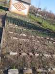 Продам дачу. Срочно. Текстильщиков 2. 8 соток. .