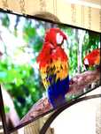 ТЕЛЕВИЗОР ЛДЖИ LG 4K SMART оригинал 100% в коробке