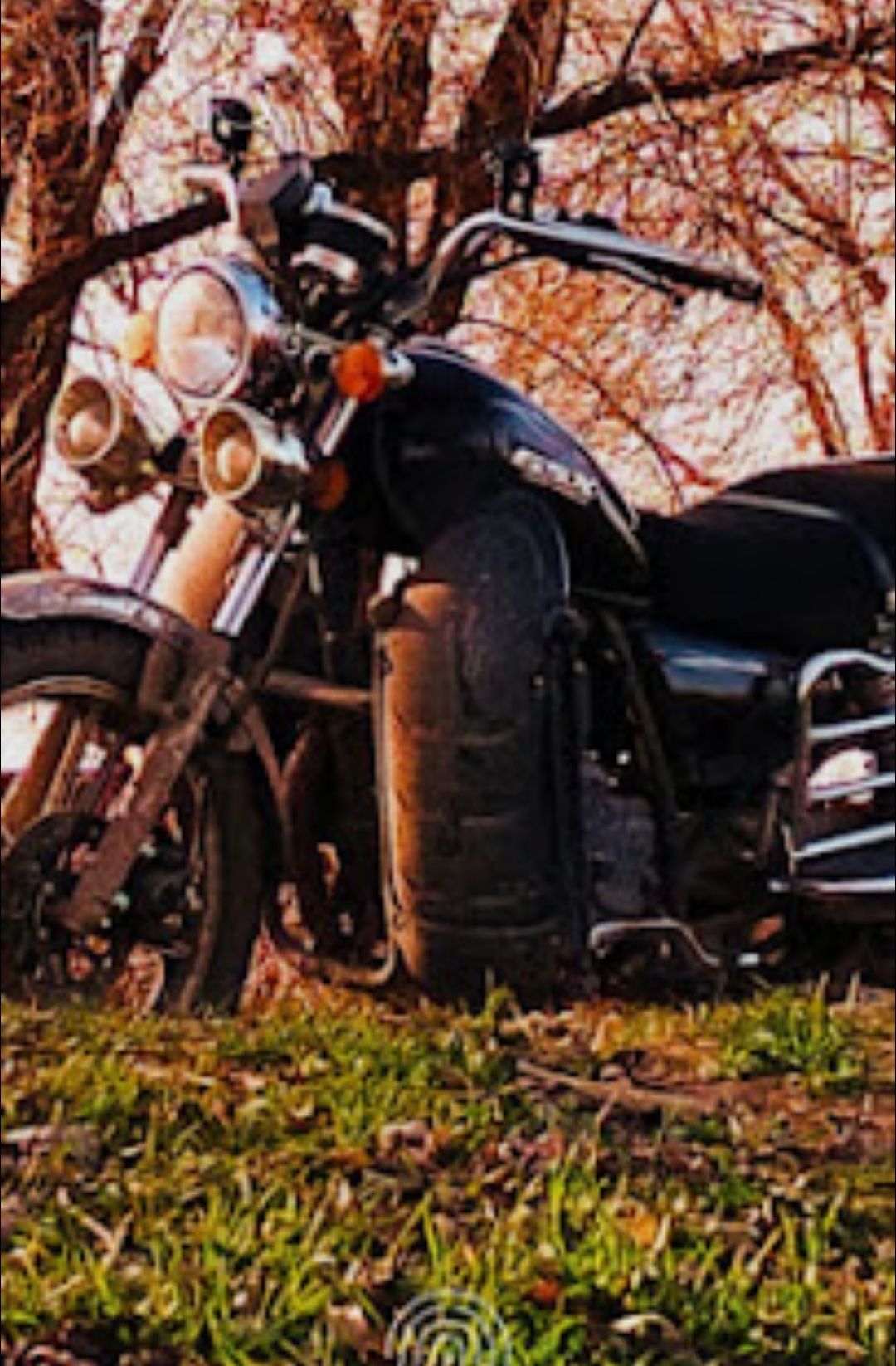 матор 200куб Suzuki GSX