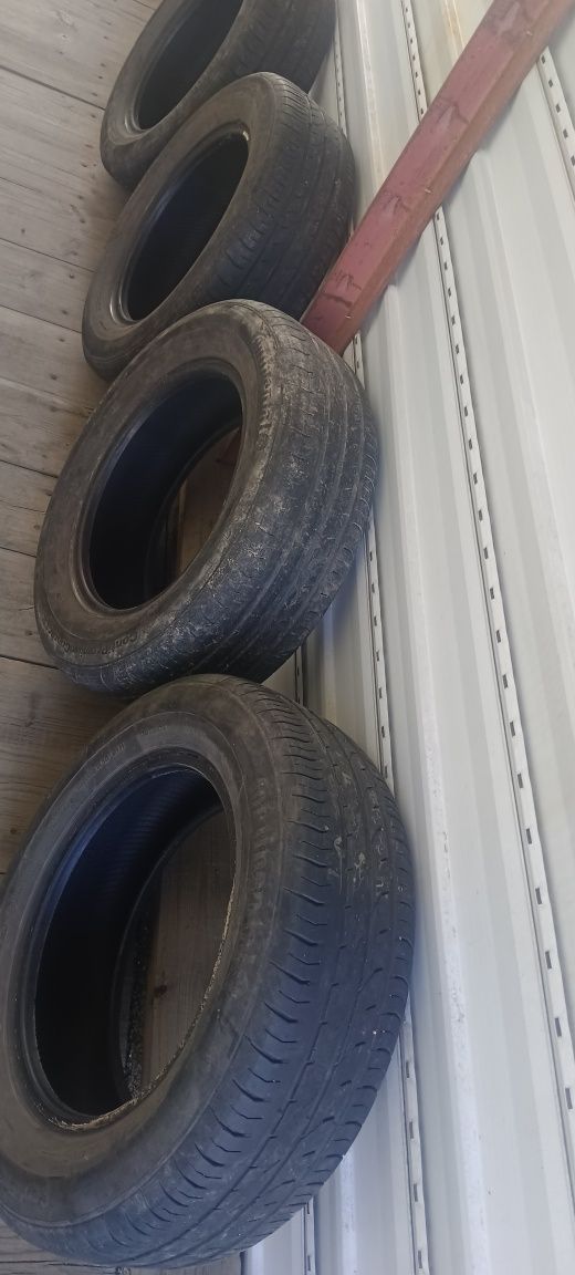 Шины летное  R 15 195/65