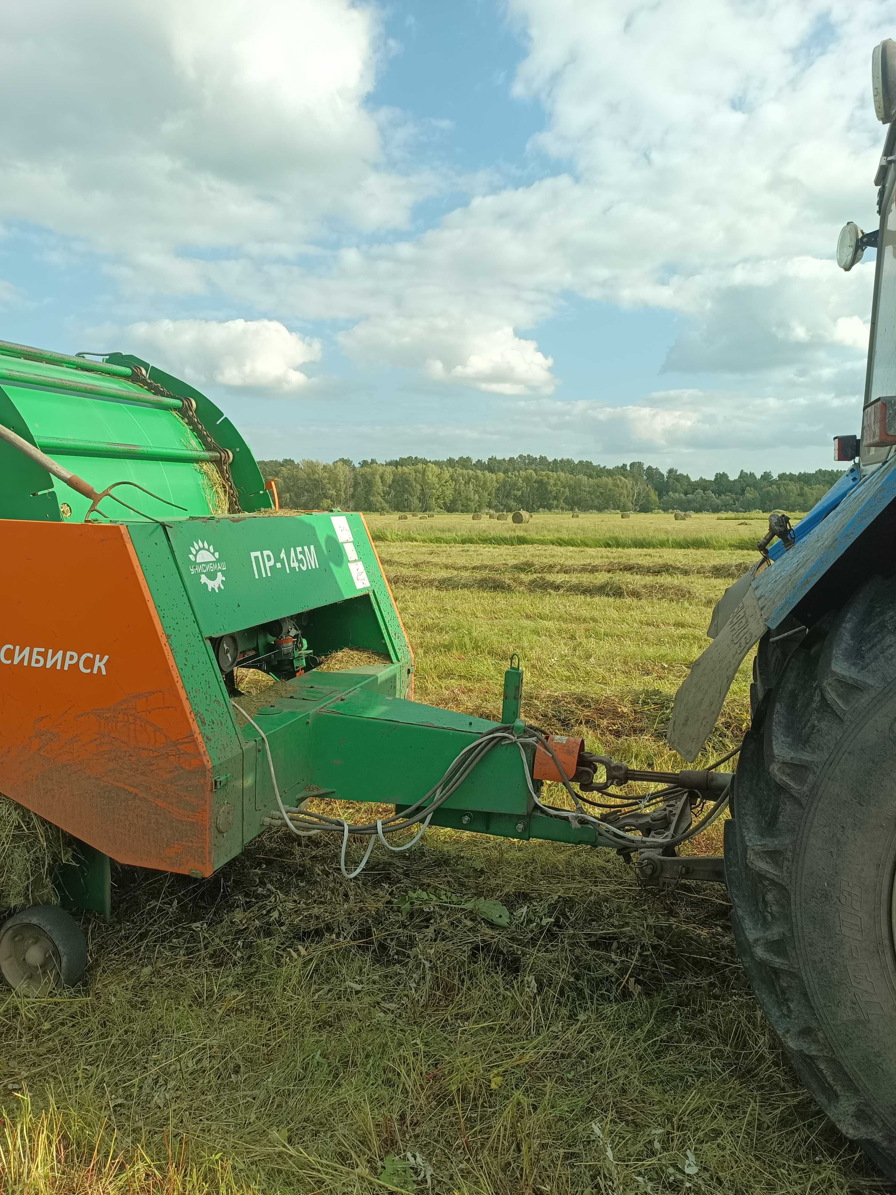 Продам сено в рулонах