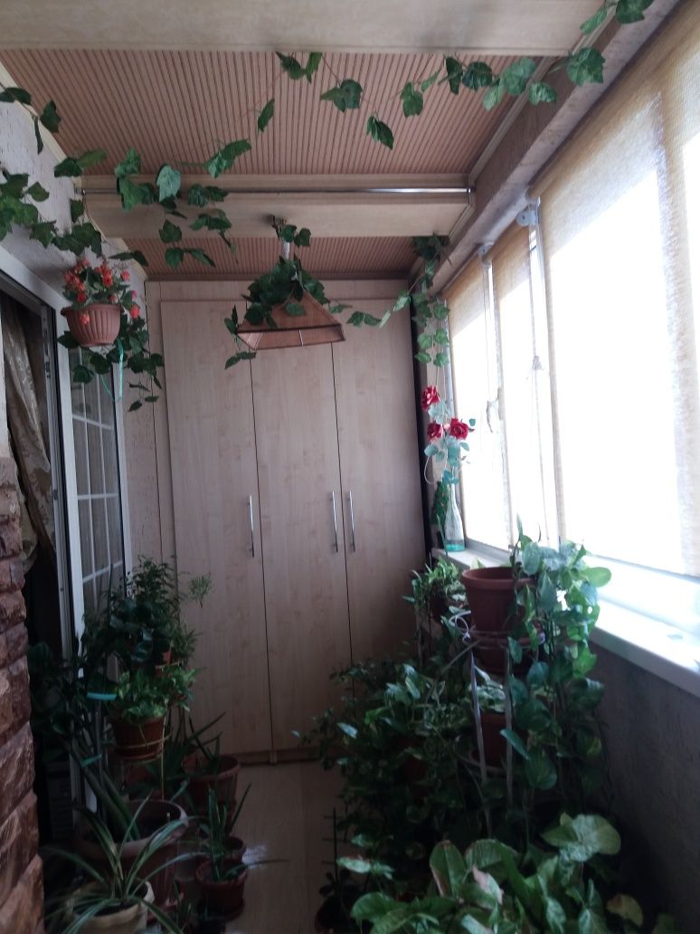 С Кондиционером  квартиры посуточно сдам