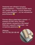 Поклею обои в квартирах и домах