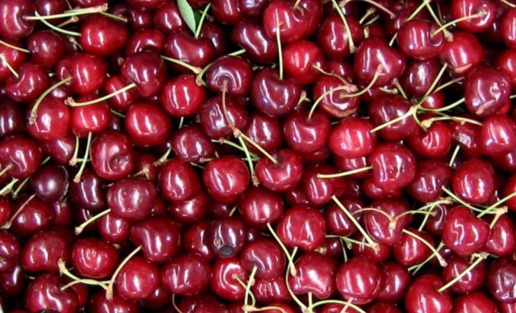 Продам домашнюю вишню!