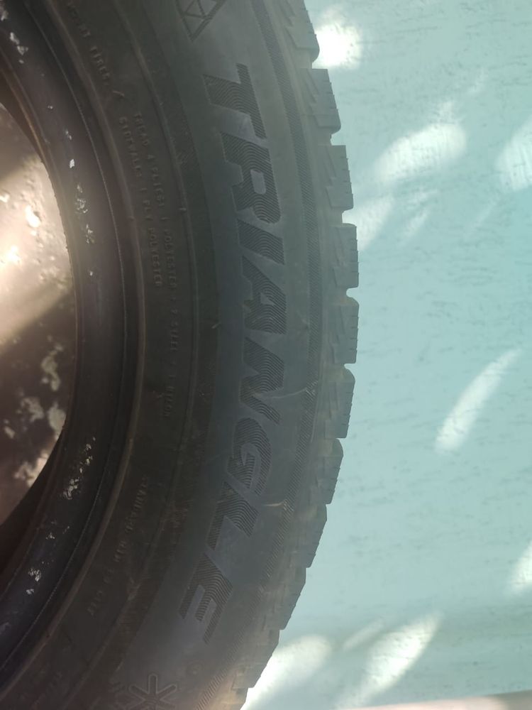 Шина зимний Трианжел 195/65R15