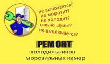 Ремонт холодильников на дому