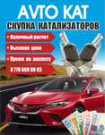 Катализатор дорого