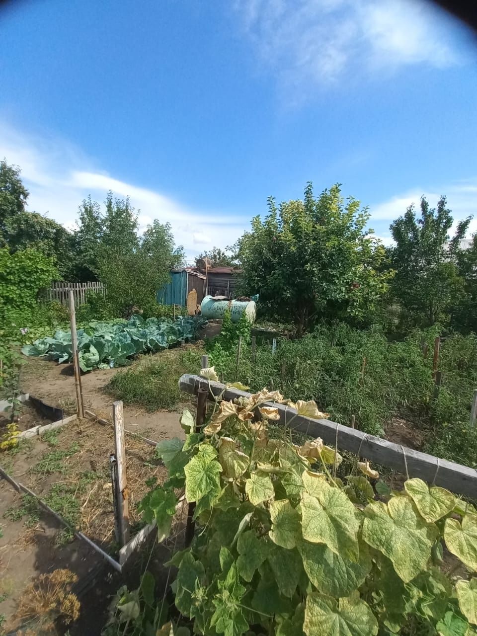 Продам дачу в садоводстве Иртыш