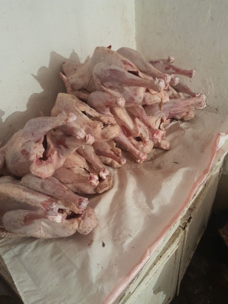 Мясо индюка, утки шипуны продаются