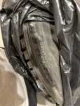 Зимние шины Michelin 255/55 R19