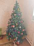 Жаңа жылдық шырша 2 метр сатылады
