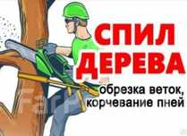 Грамотно недорого пилим рубим деревья