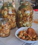 Продам грибов солёные, очень вкусные