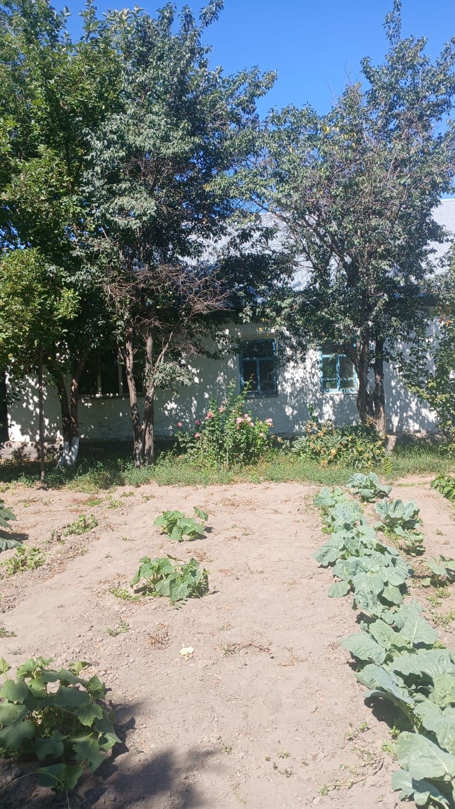 Продам дом в центре( можно под бизнес)