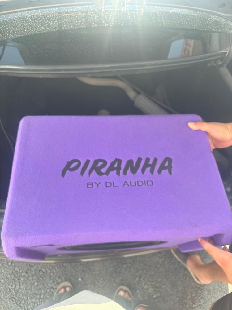 Сабуфер  piranha