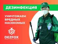 Дезинфекция От Клопов Тараканов Мышей Санобработка В Помещение Кафе