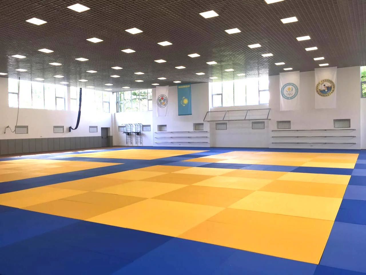 Татами для дзюдо Мастер 5см Алматы оптом и в розницу