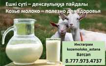 Свежее Козье молоко / козы - Астана