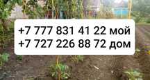 Продам колышки - опоры для помидор (томатов) и огурцов