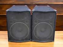 Пассивные колонки RS-PRO (P-AUDIO)
