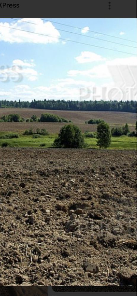 Продам кх 100 га в пригороде
