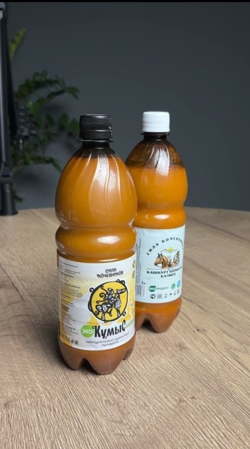 Кумыс, қымыз, кымыз с медом