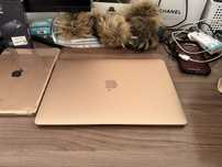 Macbook air M1 gold 8/256