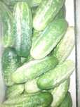 Продам огурцы домашние