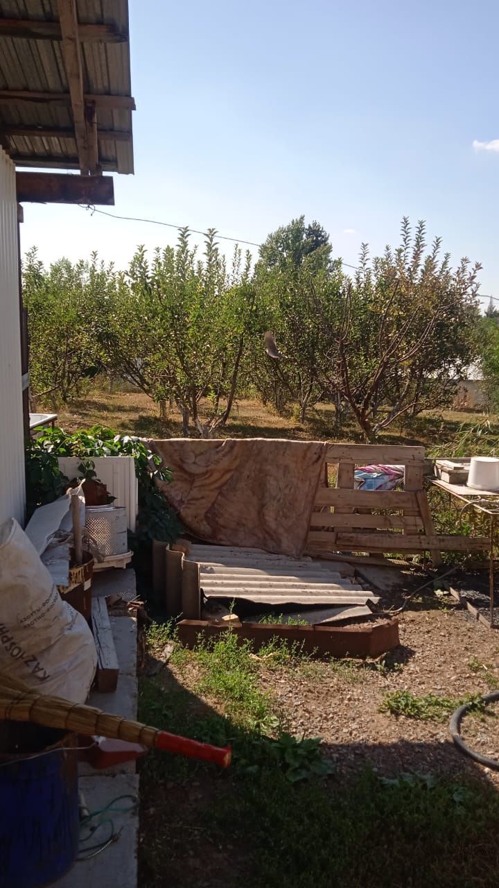 Продам дом село Балтабай