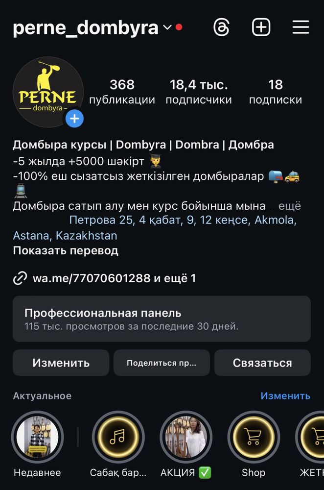 Домбыра PREMIUM класса Домбра