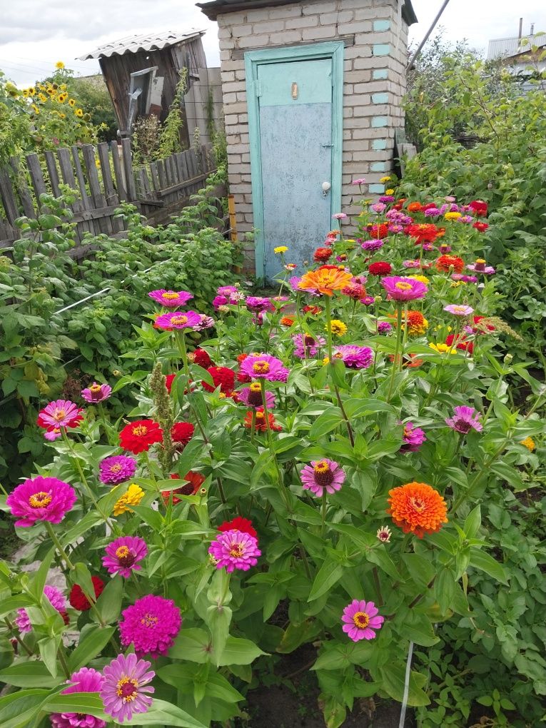 Продам дачу в СО Весна. 4.2 сотки. Всё что нужно на даче всё есть.