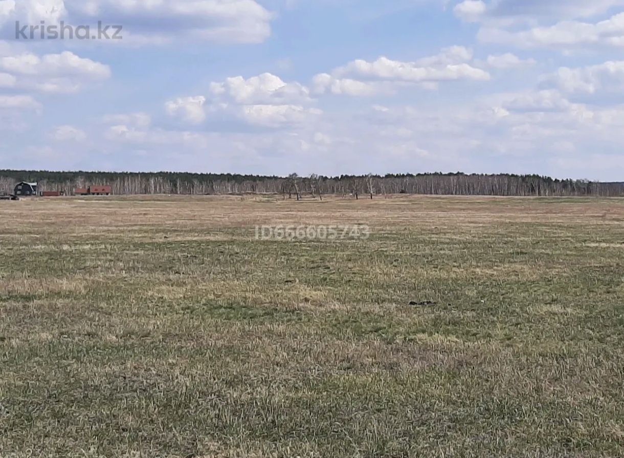 Продам земельный участок на дачном  массиве в селе Зелёный бор
