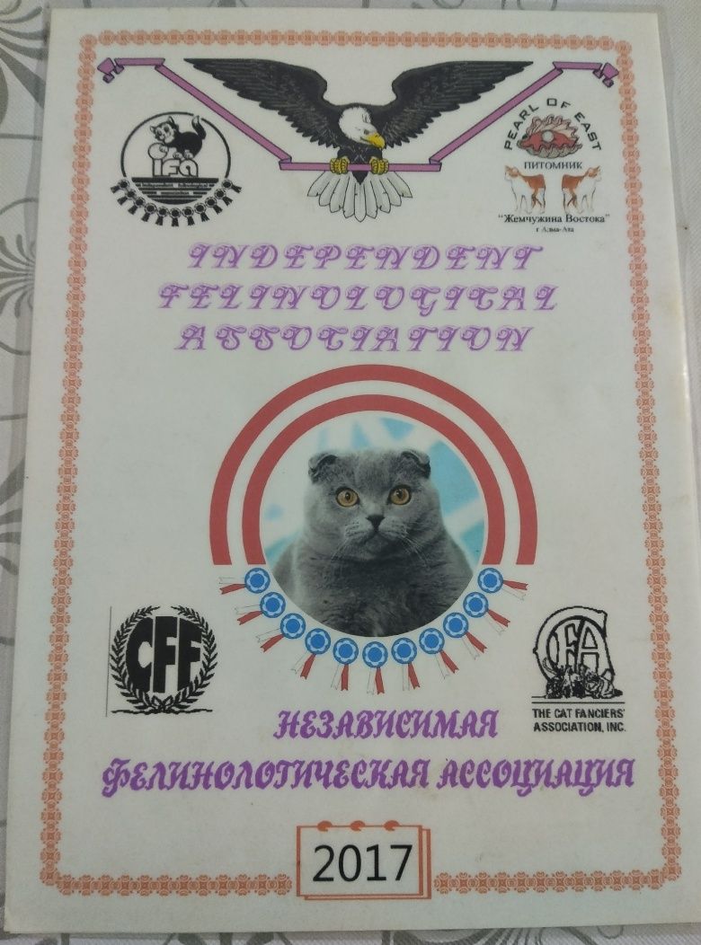 Продаю кота со связью с переездом