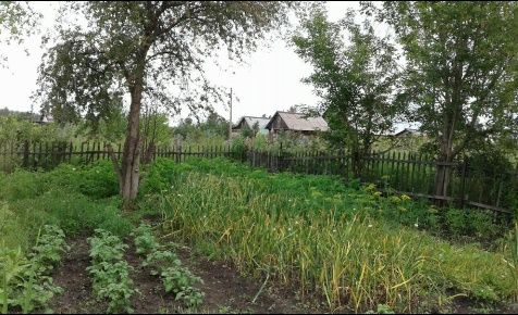 ДАЧА с домом в садовом обществе РАКЕТА